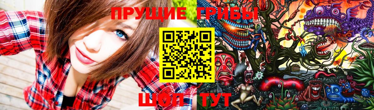 Кушва  Галлюциногенные грибы мицелий  Вход с VPN 
