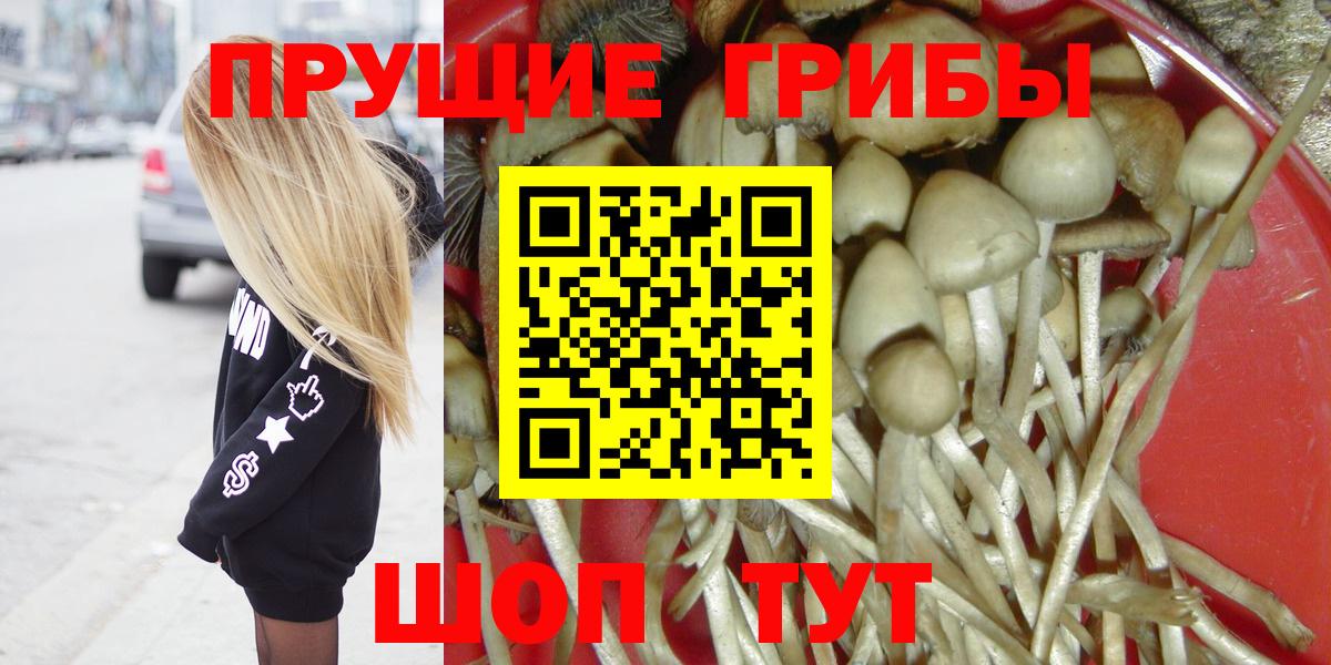 ГАШ Кушва